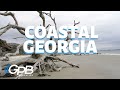 Georgia's Geography and History