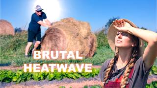 Gardening in Extreme Heat | Everything Was Dying Until We Did THIS