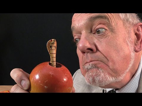 Tim says Snakes Alive! Part 2
