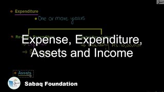 Expense, Expenditure, Assets and Income