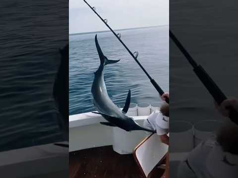 This Last Clip Will Truly Shock You🤯😱