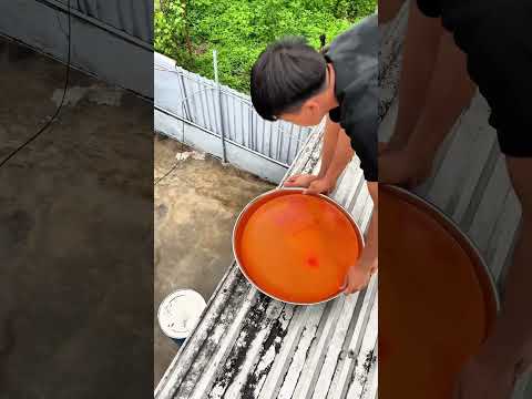Ném bóng khổng lồ 🙈😁😁😅😢😁🥰🥰🥰😢😁