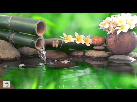 Peaceful Relaxing Music Relieve Stress and Anxiety 🌿 Sleep Music with Tranquil Water Sounds