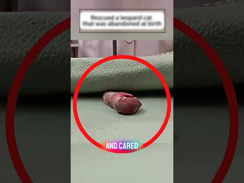 لاتنظر اليه 💔 لن تصدق ما تراه؟! #shortvideo #shortsviral #shorts