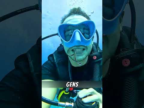 ce poisson nettoie les dents de requins #shorts
