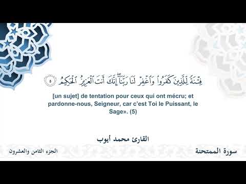 سورة الممتحنة - القارئ محمد أيوب | مشروع #100ختمة