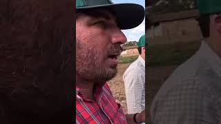 Confinamento #agro #fazenda #gado #capiaçu #cavalo