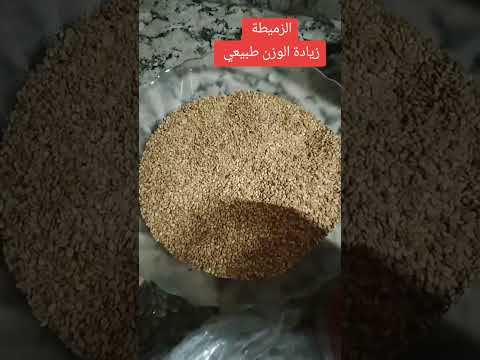 بعد التنضيف القولون  وصفة زيادة الوزن طبيعي