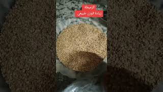 بعد التنضيف القولون  وصفة زيادة الوزن طبيعي