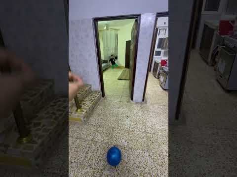 تسديدة كلش سهلة😂🔥