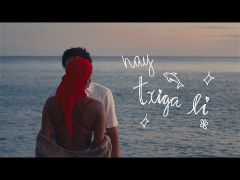 nay - Txiga Li