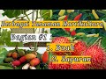 Horticulture Plants and Types
