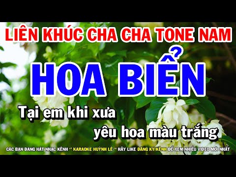 Karaoke LK Nhạc Sống Cực Hay Cha Cha Tone Nam Hoa Biển | Vó Ngựa Trên Đồi Cỏ Non