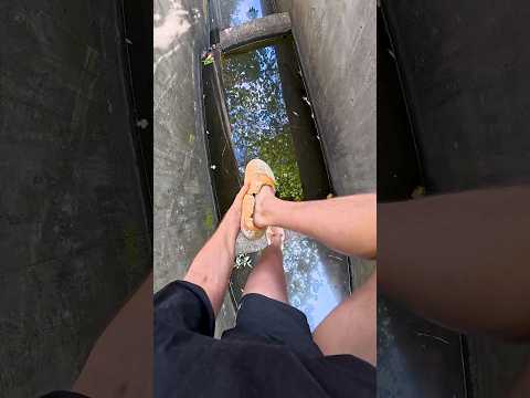 Bread Parkour 🍞