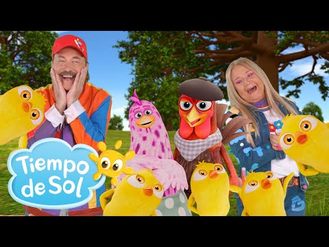 Cinco Huevitos 🐣 Canciones infantiles | Tiempo de Sol