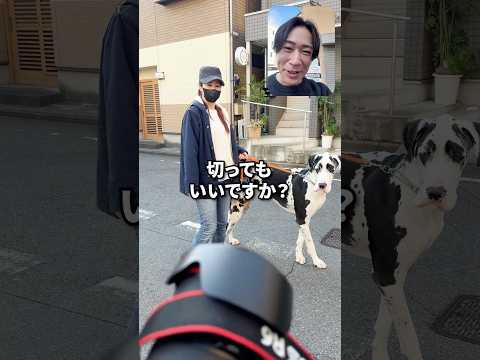 過去一のデカワンコを撮ってみた