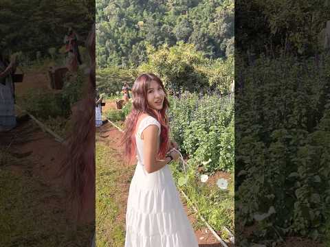 สวนสตอบอรี่เชียงใหม่ค่ะสาวมอญ