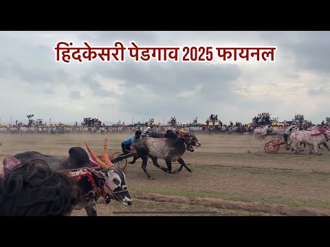 पेडगाव हिंदकेसरी 2025 फायनल | अतितटीची लढत | Maharashtra Bailgada Sharyat