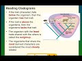 Cladistics and Evolutionary Relationships