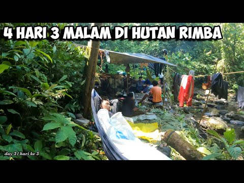 Camping Fishing Adventure Petualangan Hutan Belantara Sumatera Cari Madu Sialang Survival Part 38