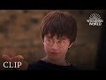 Understanding Quidditch