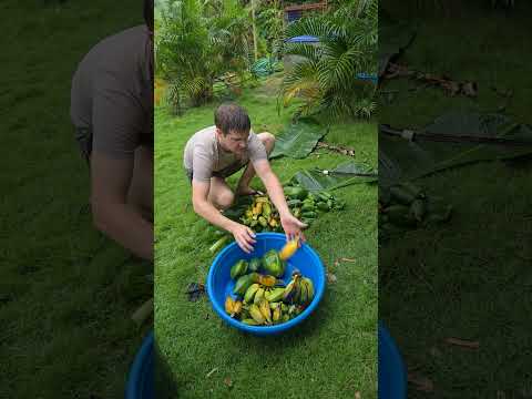 Bahalag bagyo basta naka harvest.  😁