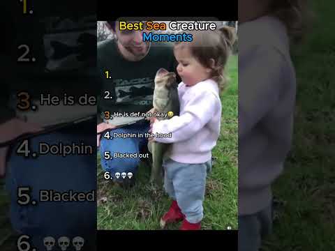 Best Sea Creature Moments!