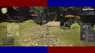 FINAL FANTASY XIV ONLINE livestream 9