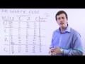Genetic Code Concepts and Functions