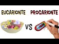 Prokaryotic and Eukaryotic Cell Concepts