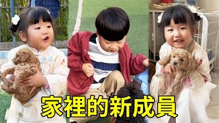 給家裡添一隻小狗狗，上一秒小丁還嚇的大哭，下一秒抱著小狗愛不釋手！