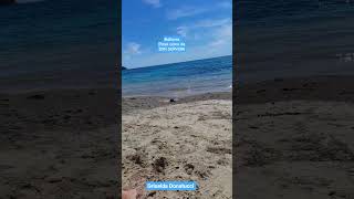 1 playa cerca de SON SERVERA en Mallorca