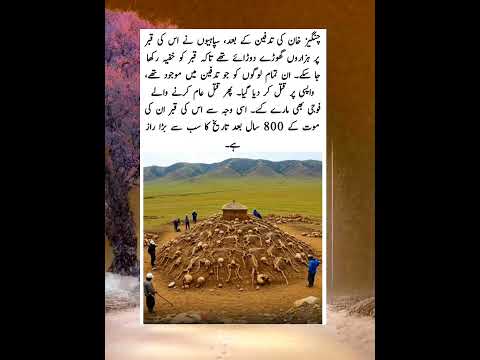 Who will like history | #history #Facts #shortsVideo #viralshorts