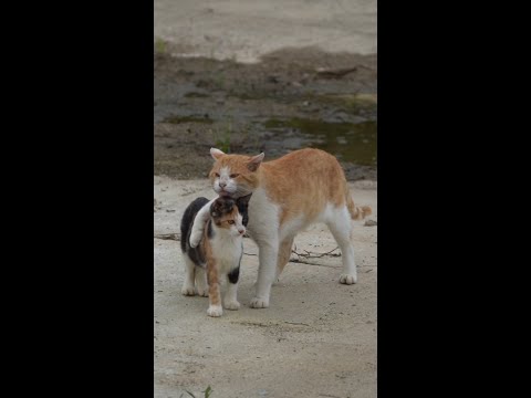 딸 바보
