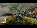 Viking Ship Culture and Symbolism