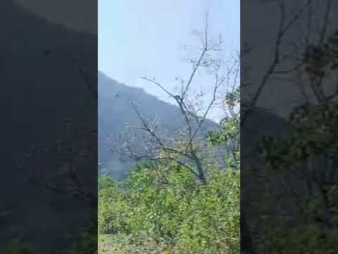 預載入圖像
