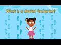 Understanding Digital Footprints