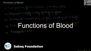 Functions of Blood
