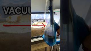 I VACUUMED my ANT FARM!!