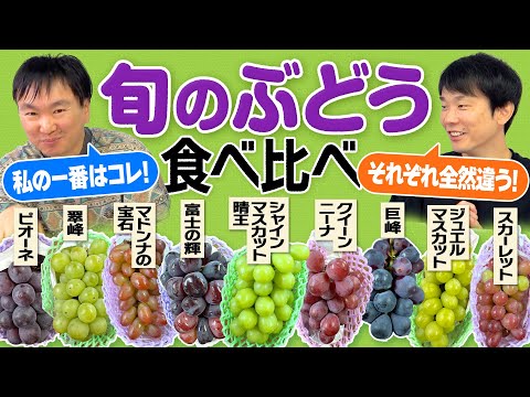 【ぶどう】かまいたちがシャインマスカット・巨峰など旬のぶどうを食べ比べてみた！