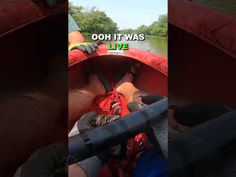 LIVE GUN Found While Magnet Fishing!