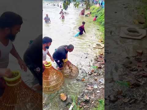 চাচা জাম্প দিয়ে বিশাল বড় মাছ ধরলো। Traditional fishing competition  #fishing