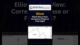 Silver Elliott Wave View: Correction Phase or Final High?