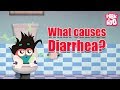 Understanding Diarrhea: Symptoms and Prevention
