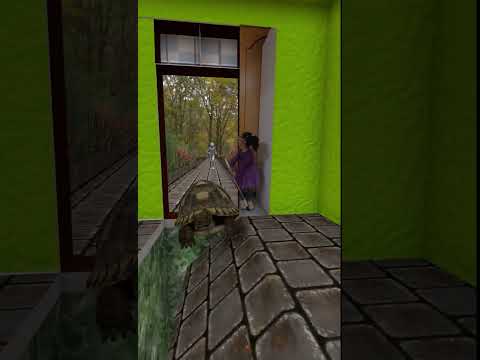 Install a trap at home and you will no longer be afraid of bad guys with special effects