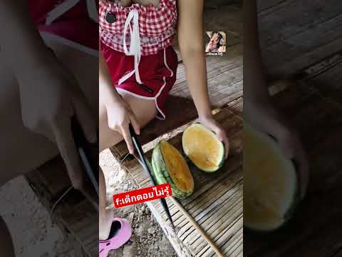 ซื้อแตงโมมาเน่าหมด #เด็กดอยไม่รู้ #ตลก