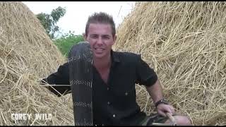 BIG ANGRY SNAKES! #snake #kingcobra #snakevideo  