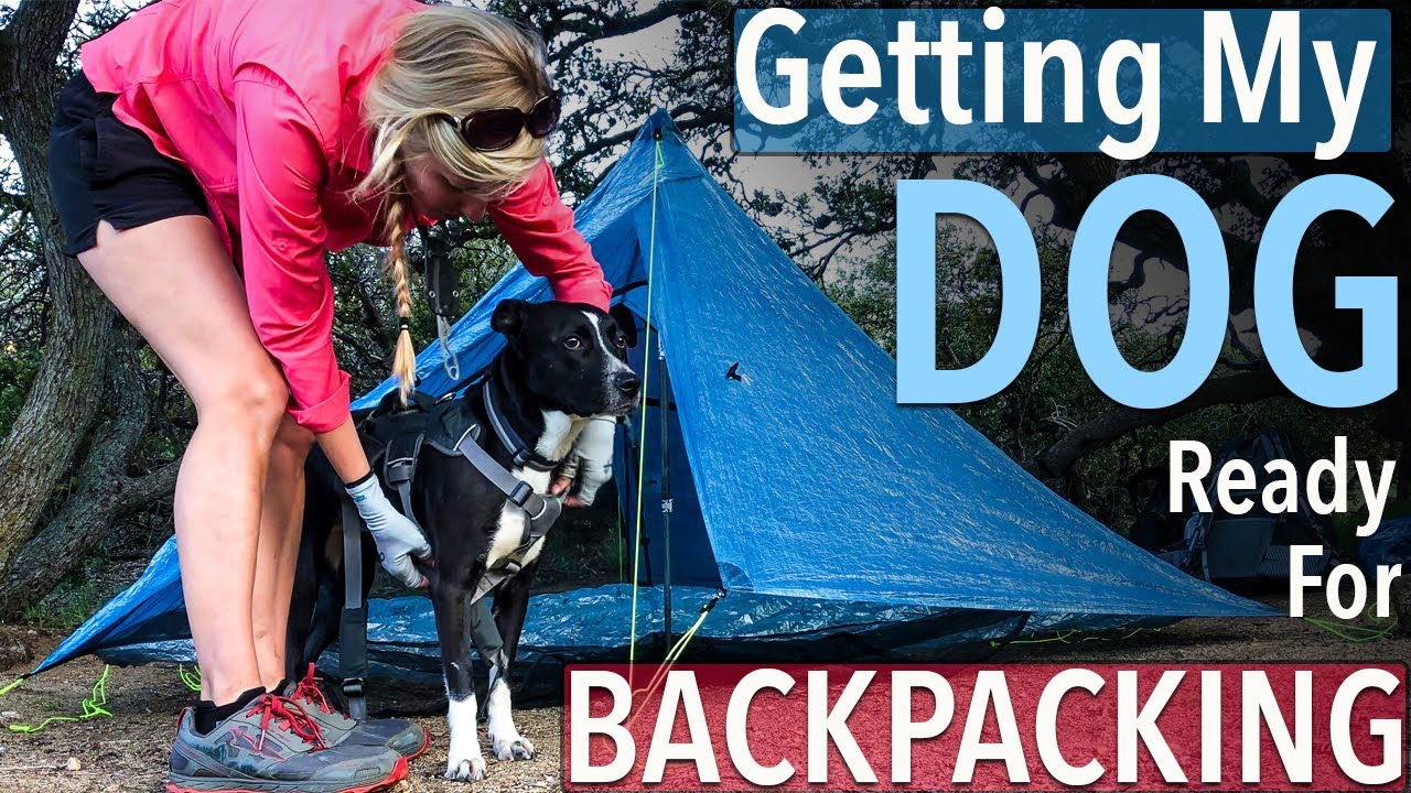 Getting My Dog Ready For Her First Backpacking Trip