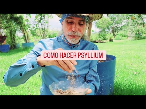 COMO HACER PSYLLIUM