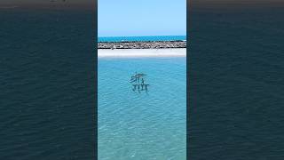 धनुषकोडी #shorts #dhanushkodi #RamKiKhoj #GenZKeRam #30Din30Sawal #ankitavasthisir